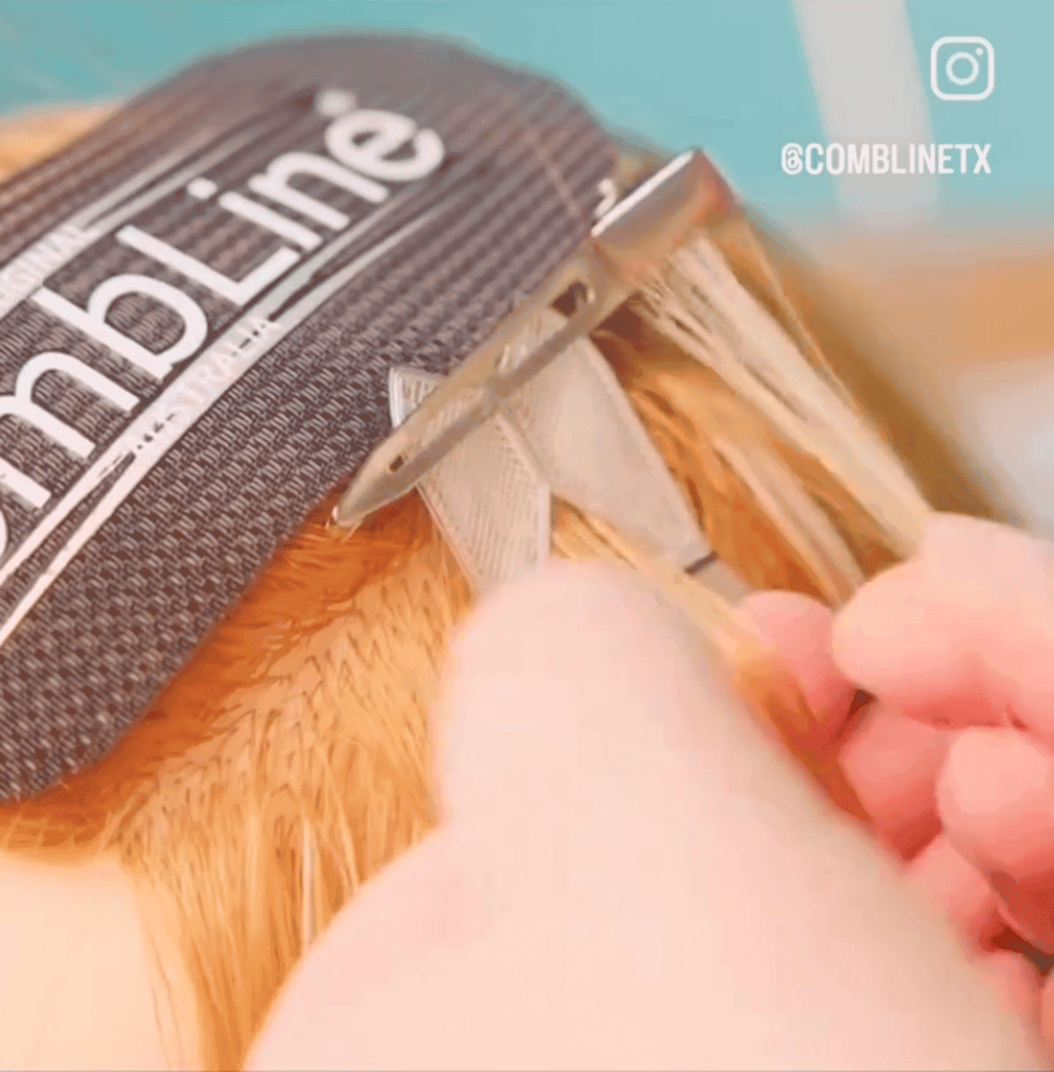 Hair coloring technique demonstrated with a CombLine tool and clips.